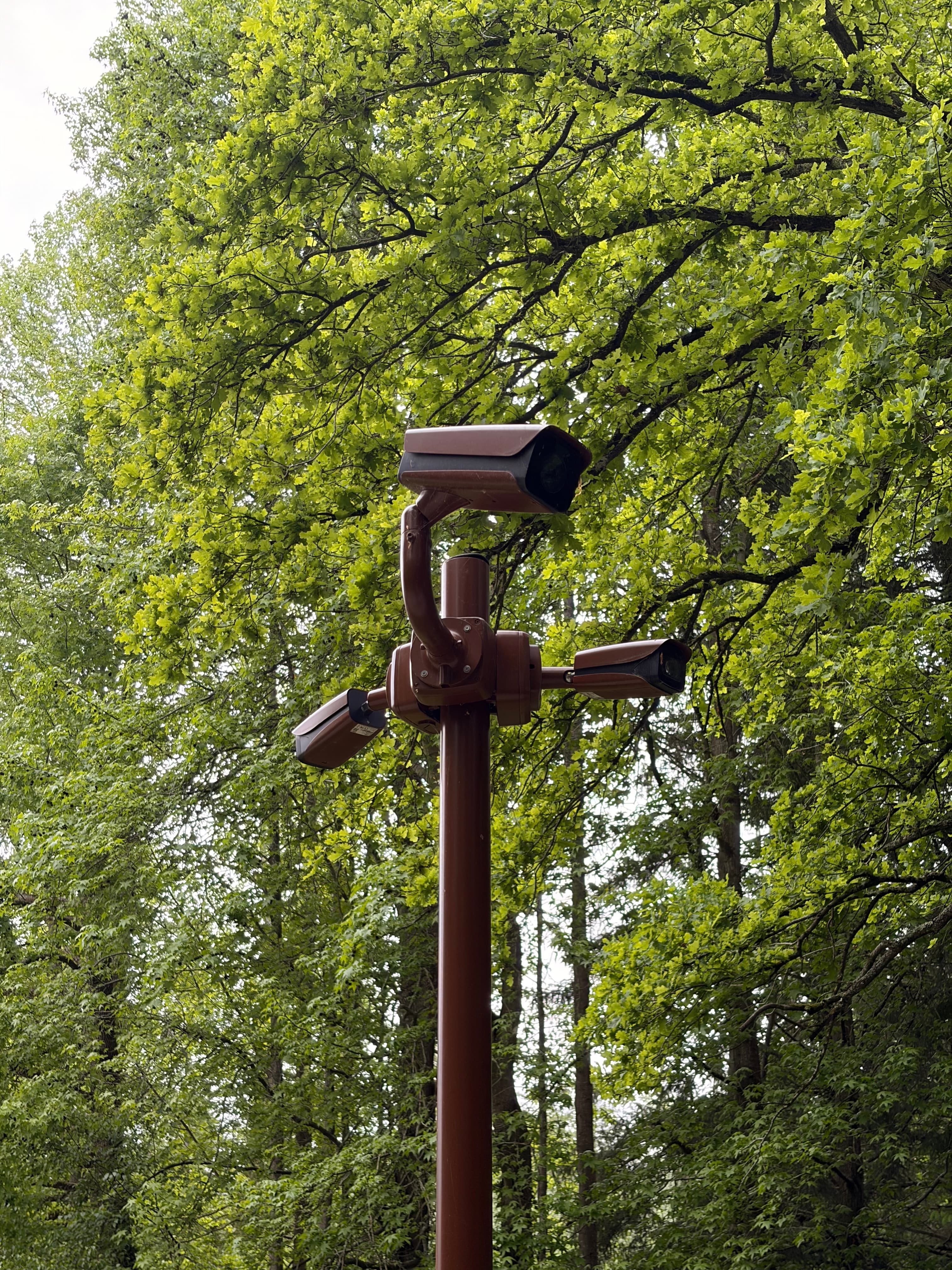 Mât multi-caméras pour surveillance extérieure — LW Security Hauts-de-France